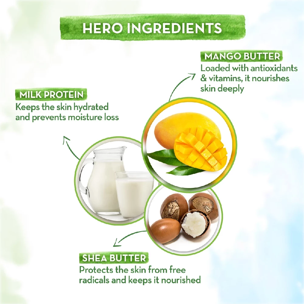 Major Mango Body Lotion For Kids with Mango Butter & Milk Protein, 400 ml-4.webp